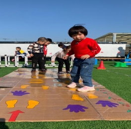 911526586B6E0F0FCEE07A05855D215D