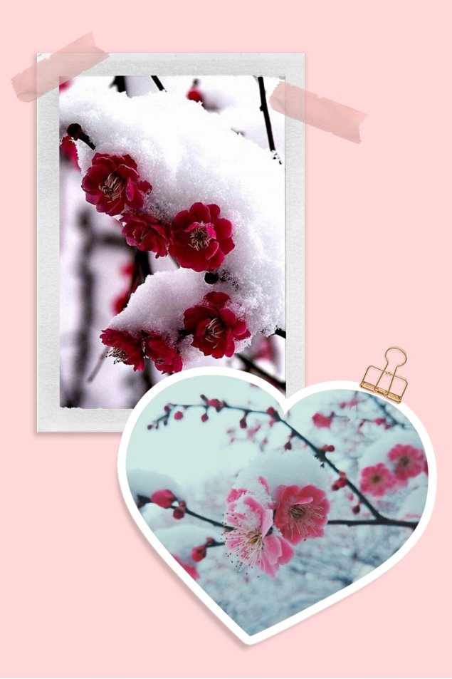 F:\Program Files\Tencent\QQ\Users\1453246757\FileRecv\MobileFile\pt2021_01_21_22_35_10.jpg