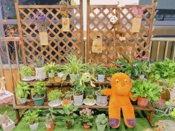 mmexport1635318609872