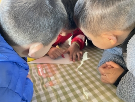 151692b3f5c767e768762e39d26488f